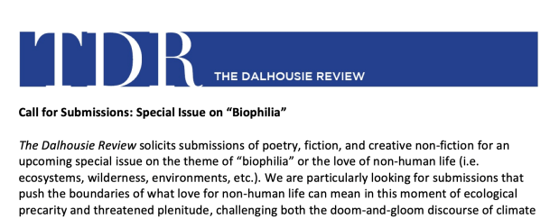 Screen Shot 2020-04-15 at 1.11.45 PM